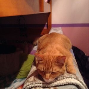 Meet your Posher, Roxanne